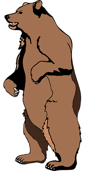 Standing Brown Bear Cartoon PNG