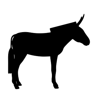 Standing Donkey Silhouette PNG