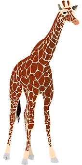 Standing Giraffe Graphic PNG