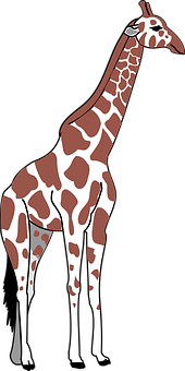 Standing Giraffe Illustration PNG