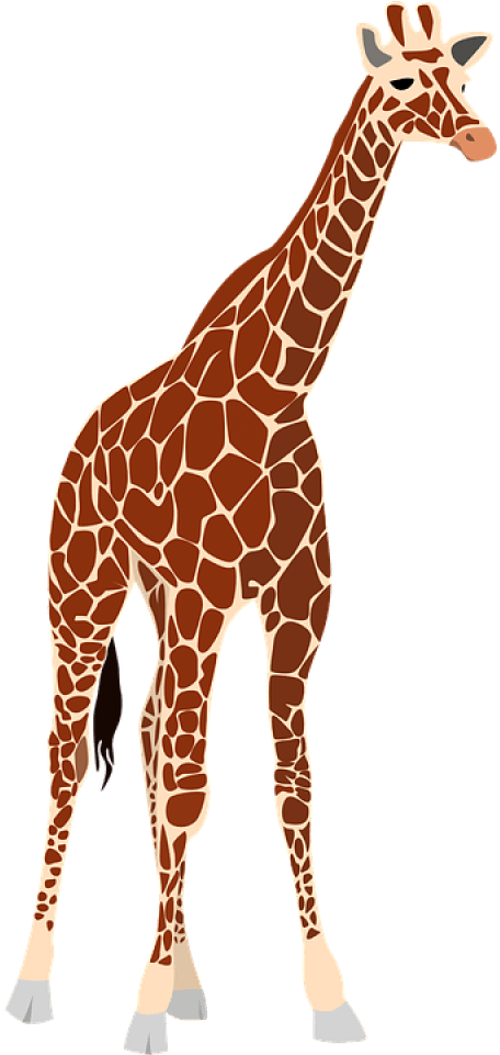 Standing Giraffe Illustration.png PNG