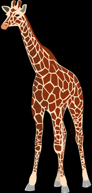 Standing Giraffe Illustration PNG