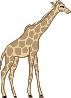 Standing Giraffe Vector Illustration PNG