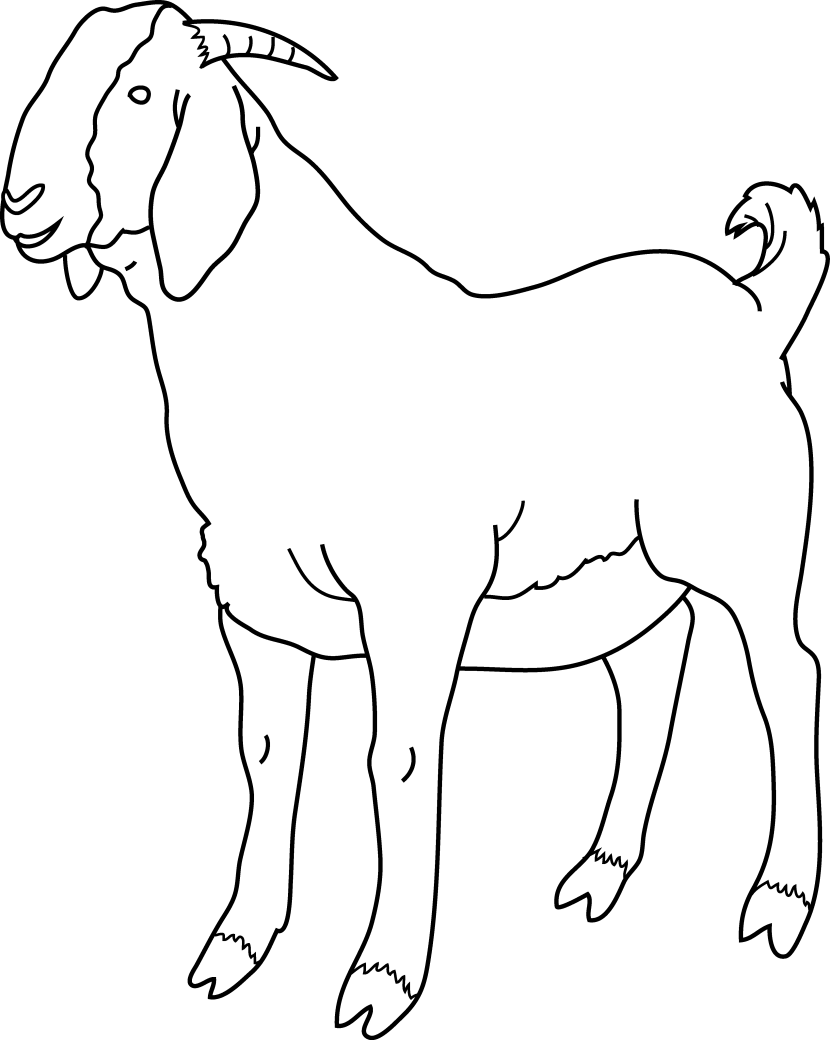 Standing Goat Line Art PNG