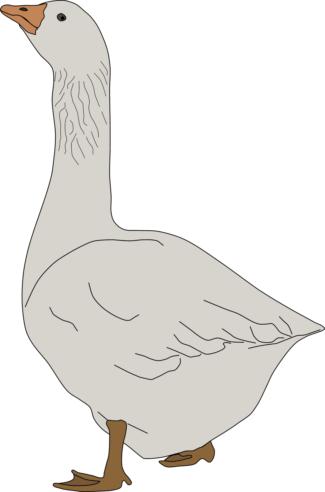 Standing Goose Illustration.png PNG