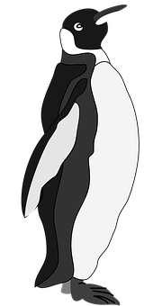 Standing Penguin Graphic PNG