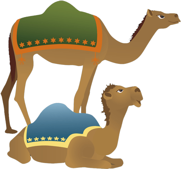 Standingand Sitting Camels Illustration PNG
