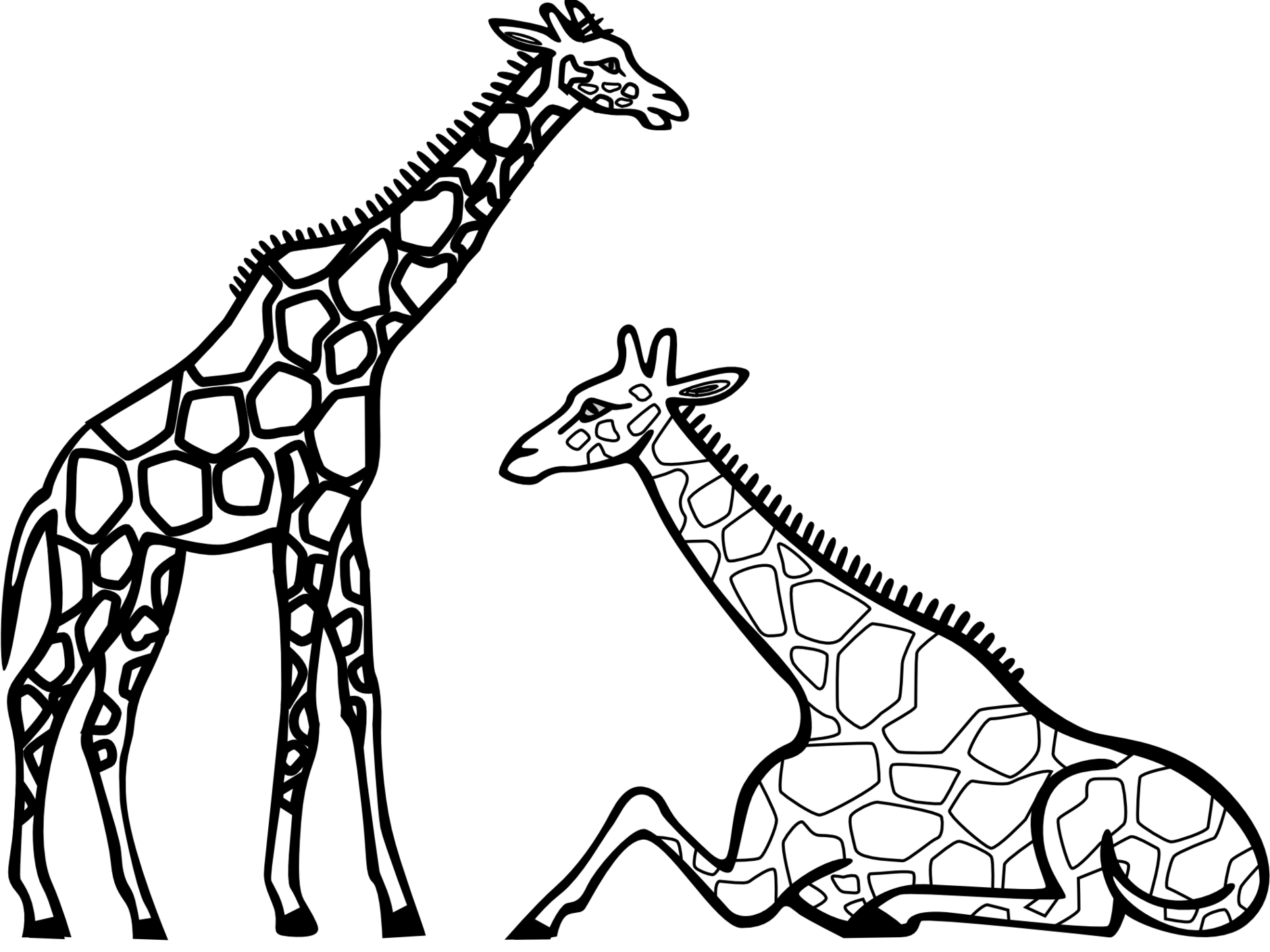 Standingand Sitting Giraffes Line Art PNG