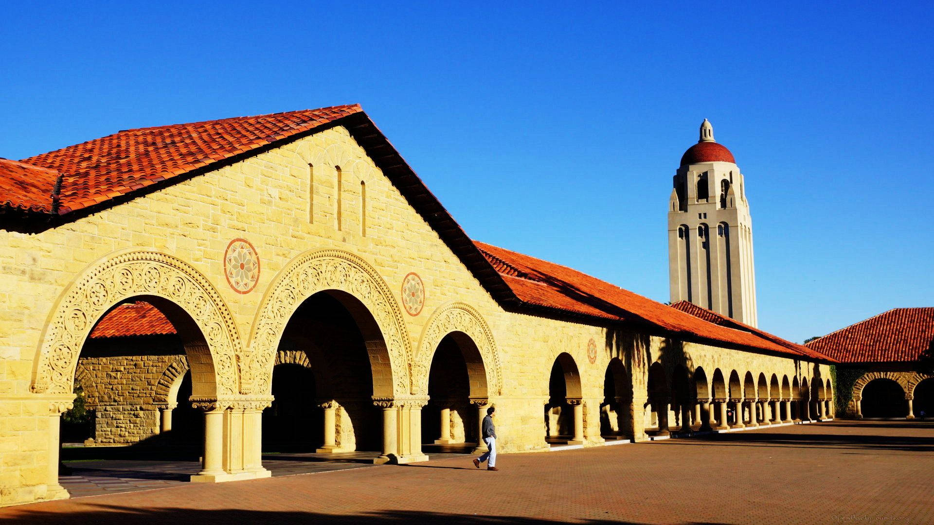 Vistadella Torre Hoover Dell'università Di Stanford Sfondo