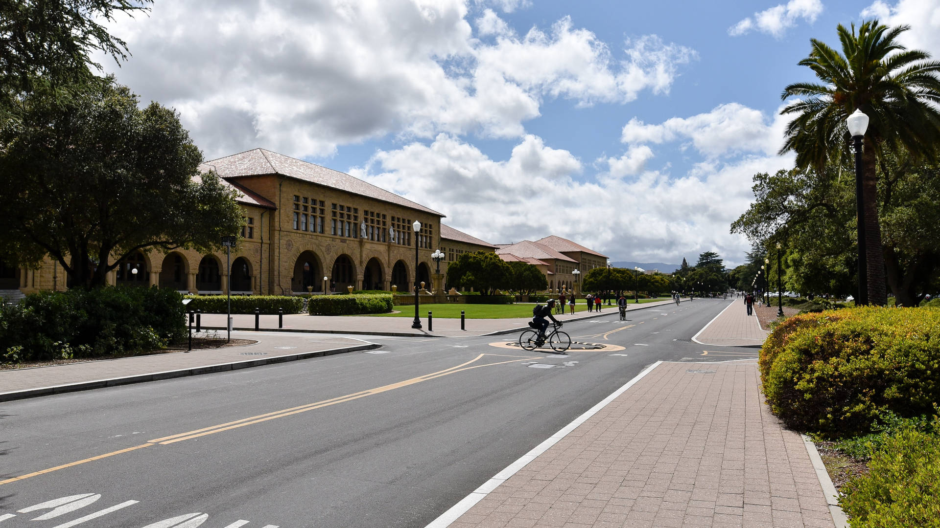 Sidewalkde La Universidad De Stanford. Fondo de pantalla
