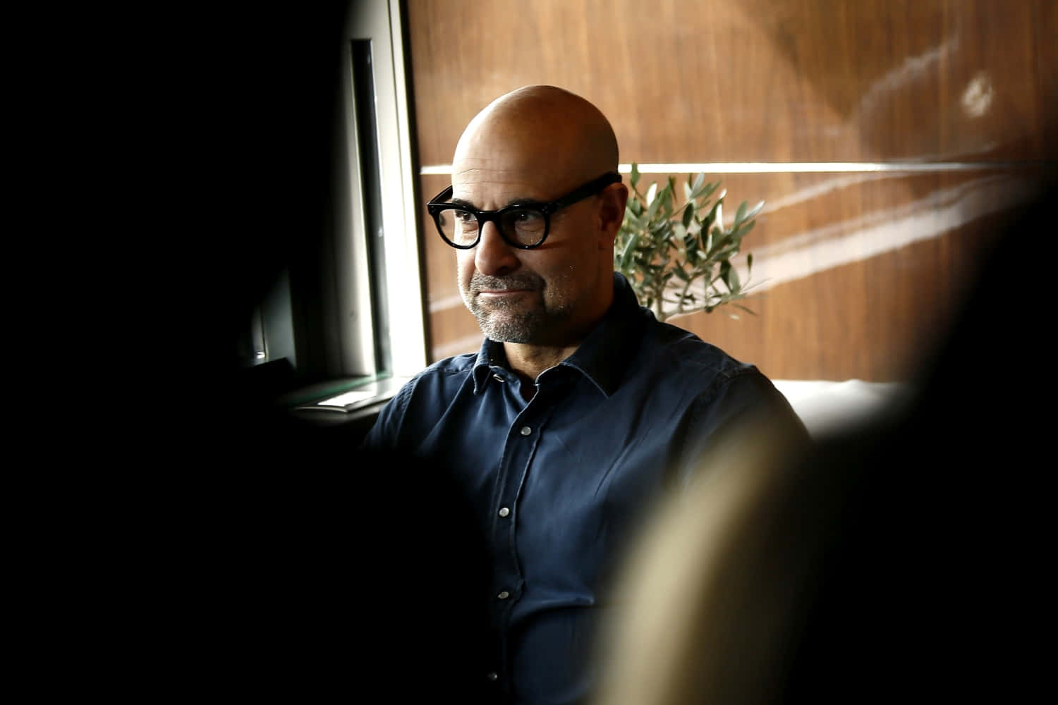 Engaging portrait of Stanley Tucci Wallpaper