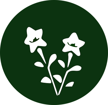Star Shaped Flowers Icon PNG