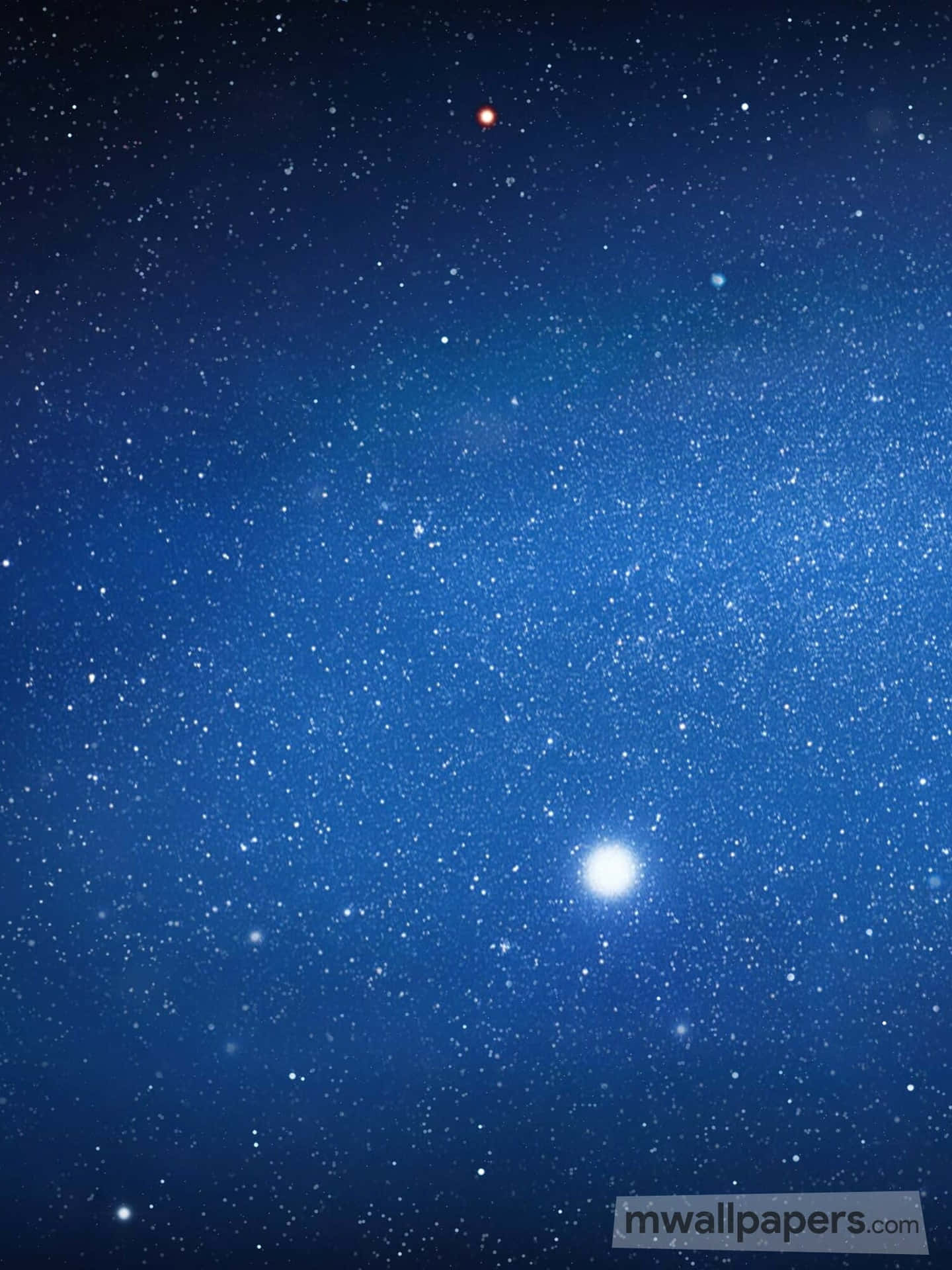 View of a Star-Filled Sky Wallpaper