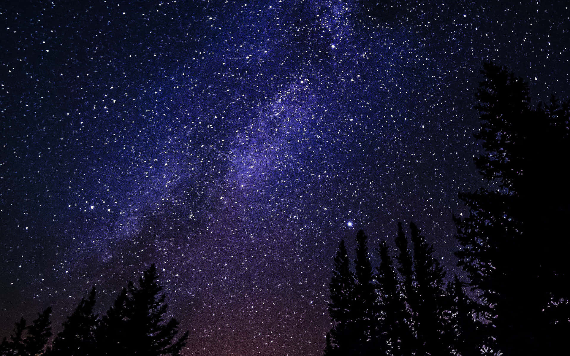Star Sky With Tree Silhouette Wallpaper