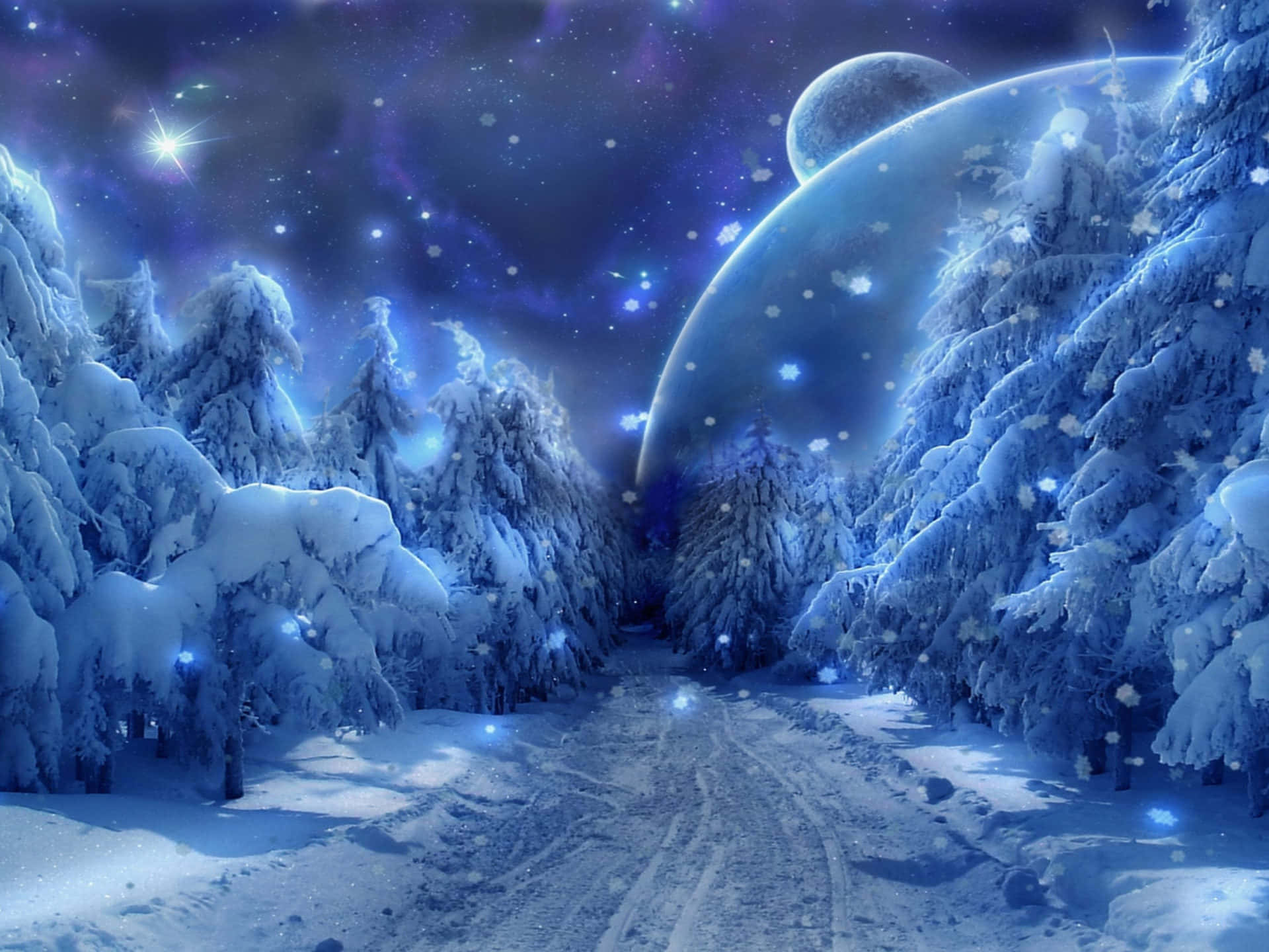Sternenhimmelüber Schneebedecktem Wald Wallpaper