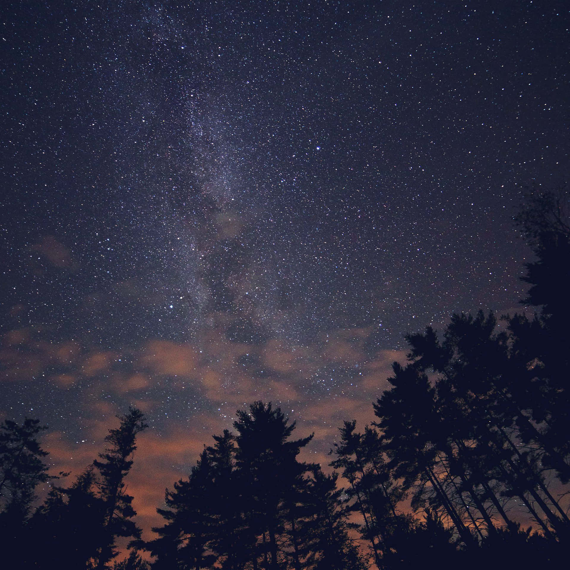 Vistanocturna De Un Cielo Cubierto De Estrellas. Fondo de pantalla