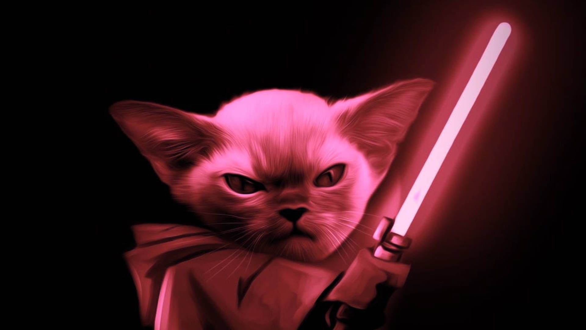 Star Wars Red Cat Jedi Wallpaper
