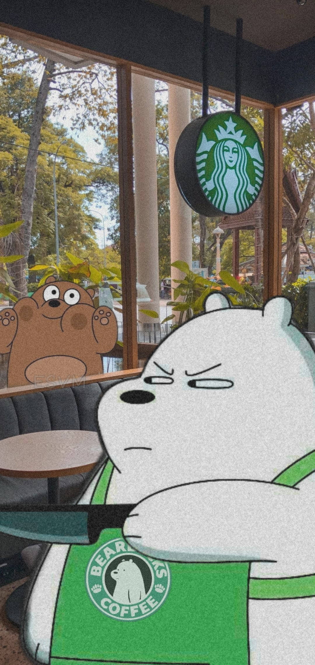 Starbucks Vi bærer bjørne iPhone 11 tapet Wallpaper
