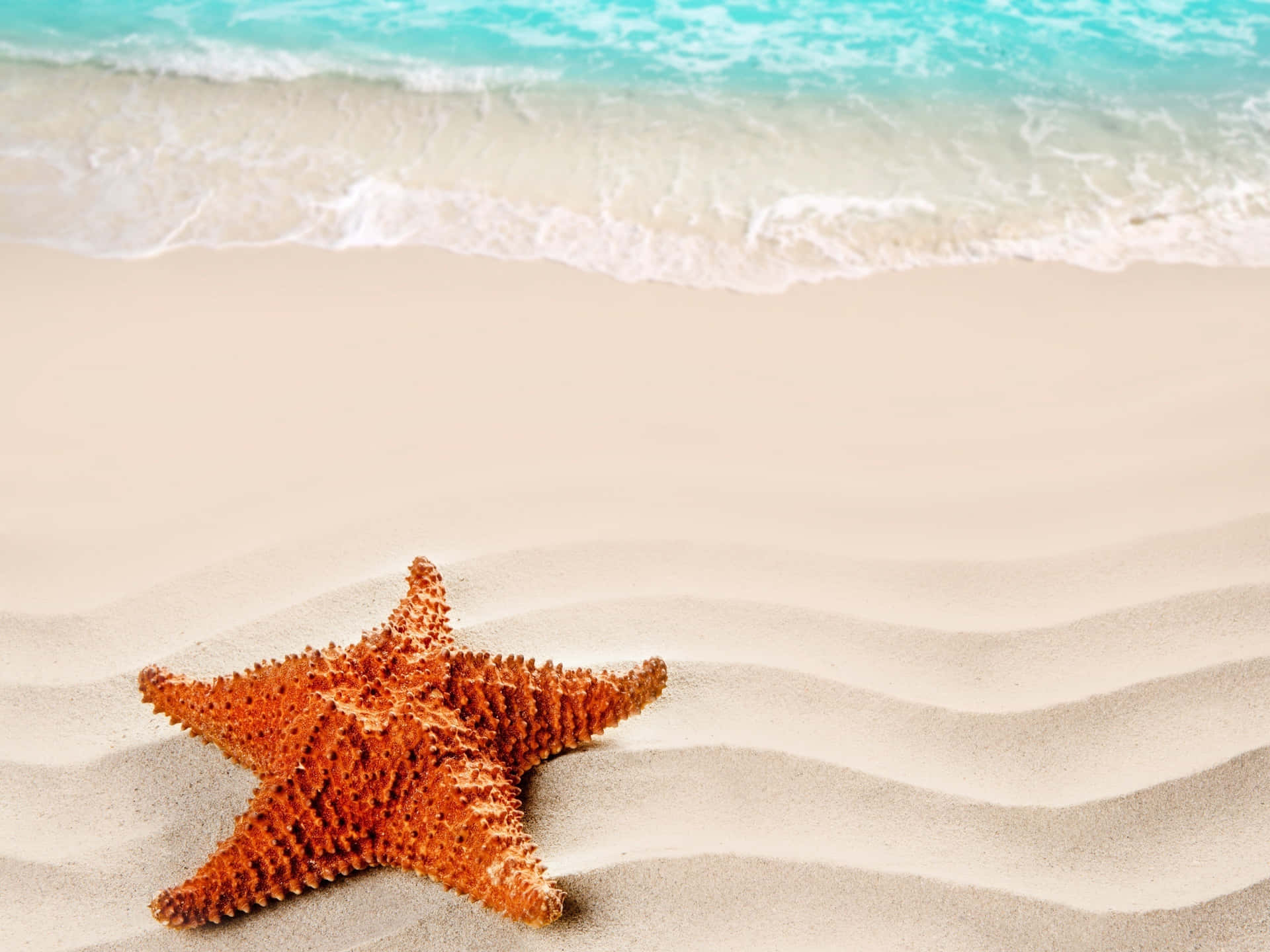 A Starfish Gently Moving Through The Waves of The Ocean