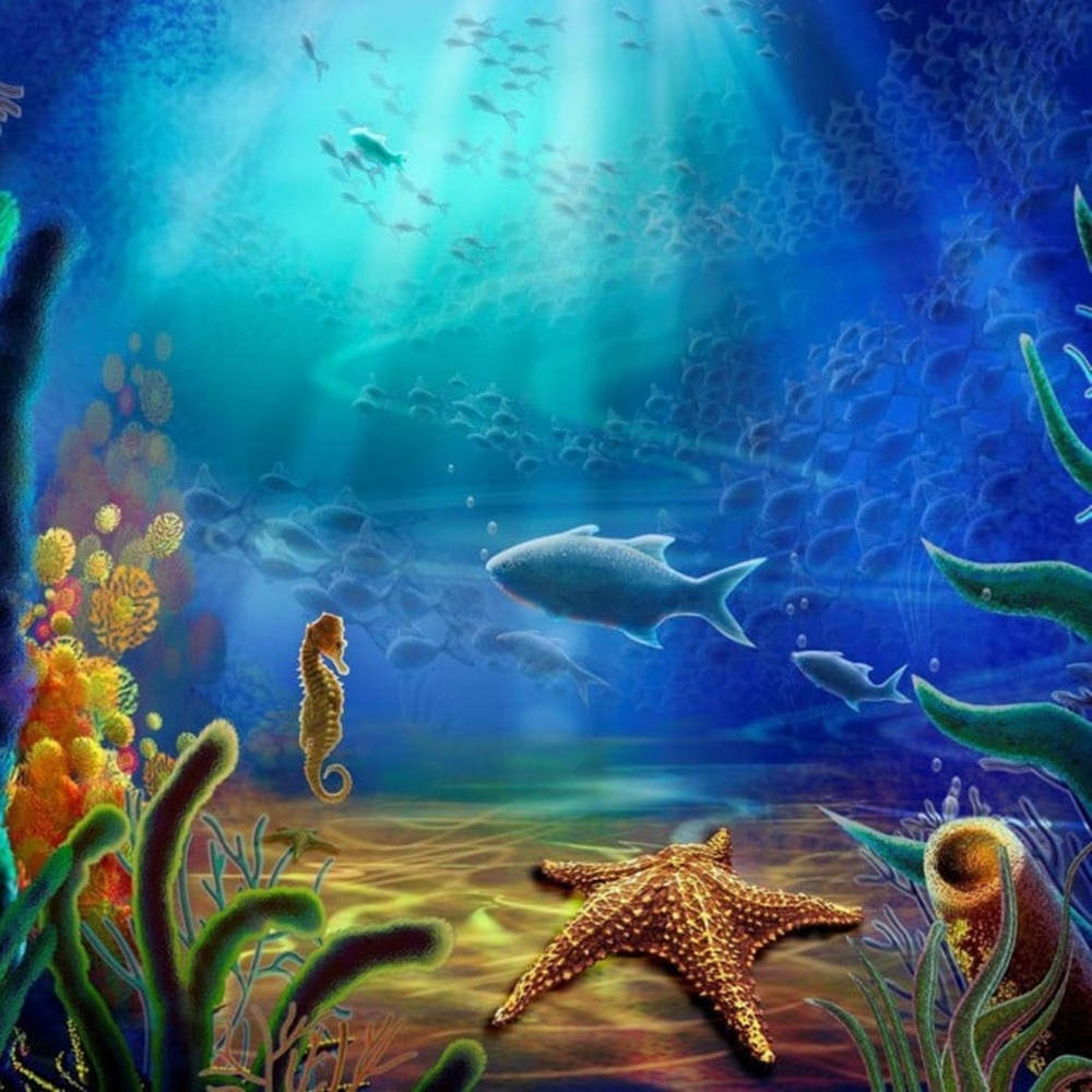 Starfish And Sea Creatures Wallpaper
