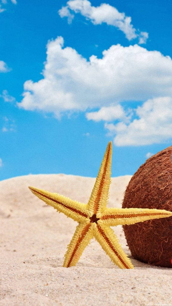 Starfish Beach Iphone Wallpaper