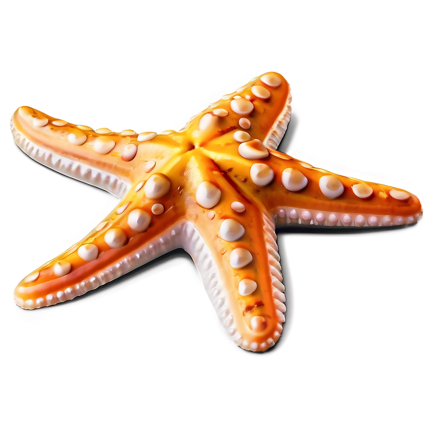 Starfish Emoji Png Qky89 PNG