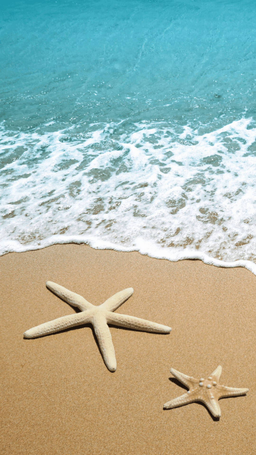 Estrellade Mar En La Playa Verano Iphone Fondo de pantalla