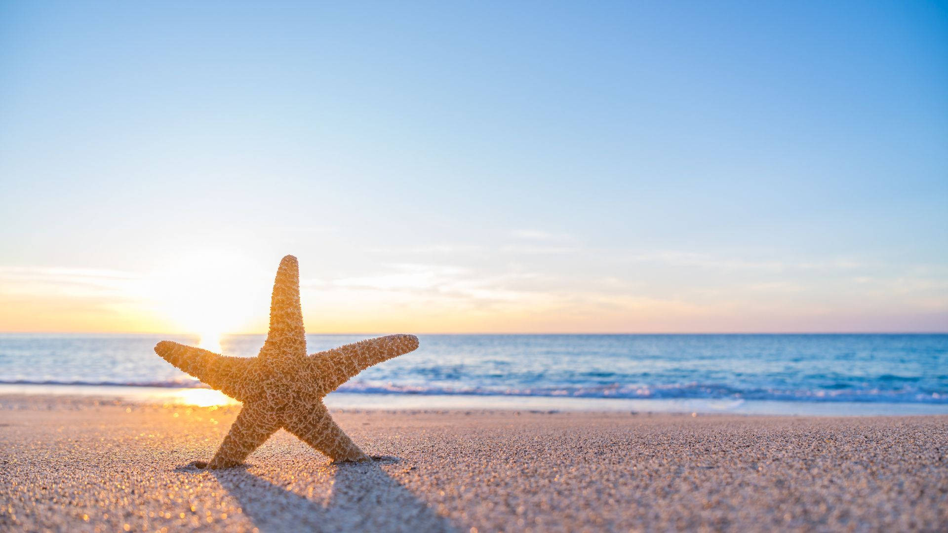 Estrellade Mar En La Playa Azul Al Amanecer Para Escritorio Fondo de pantalla