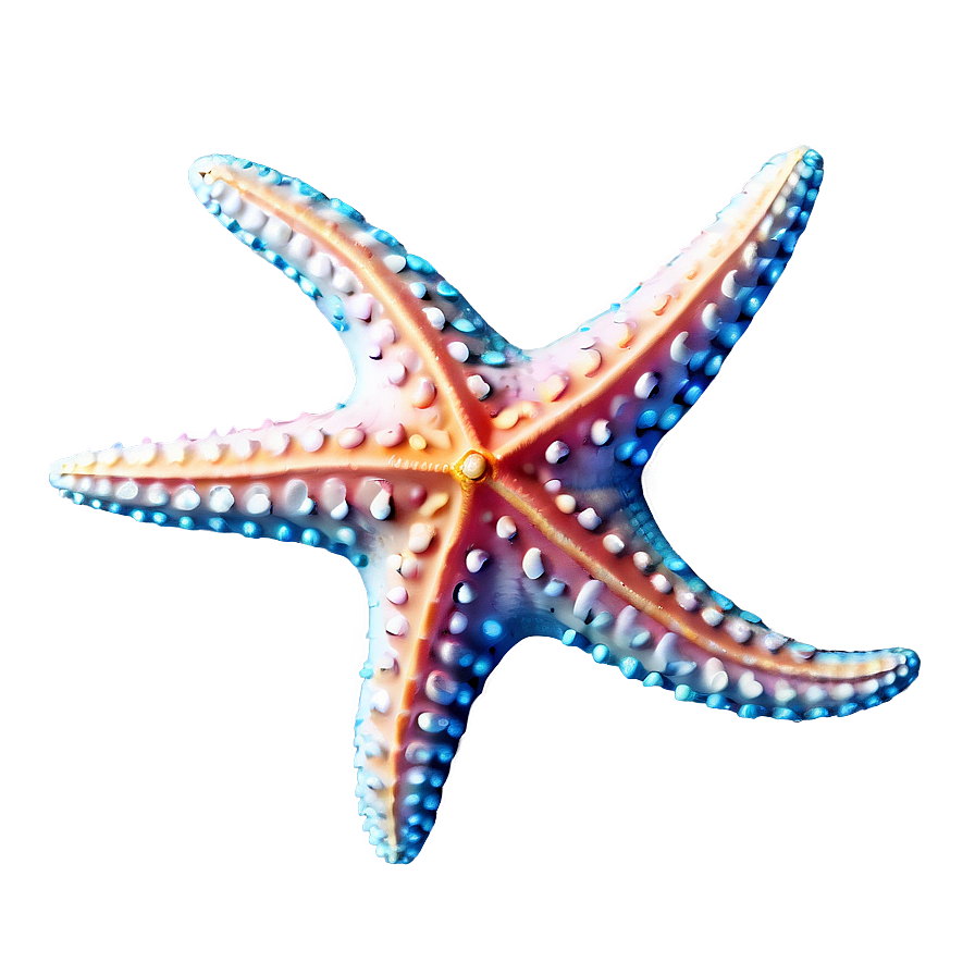 Starfish Png Kpw47 PNG