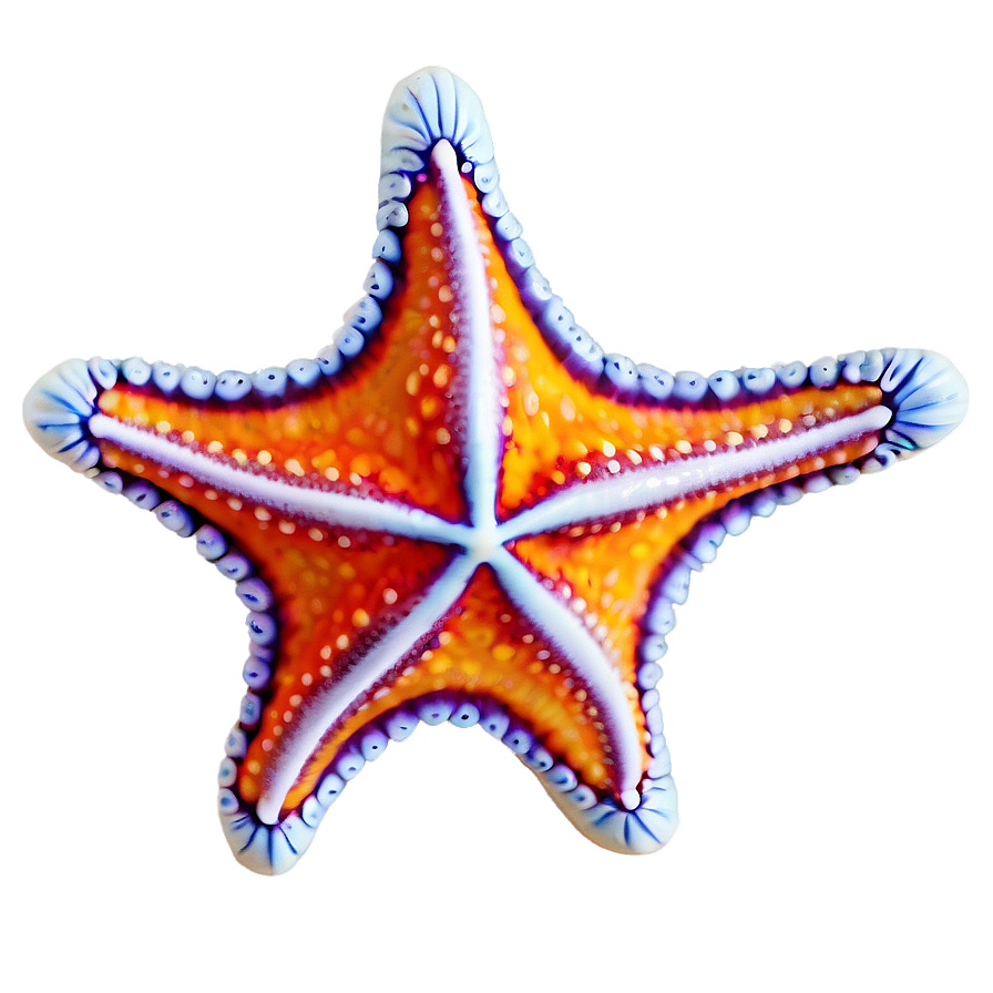 Starfish Png Vxi PNG