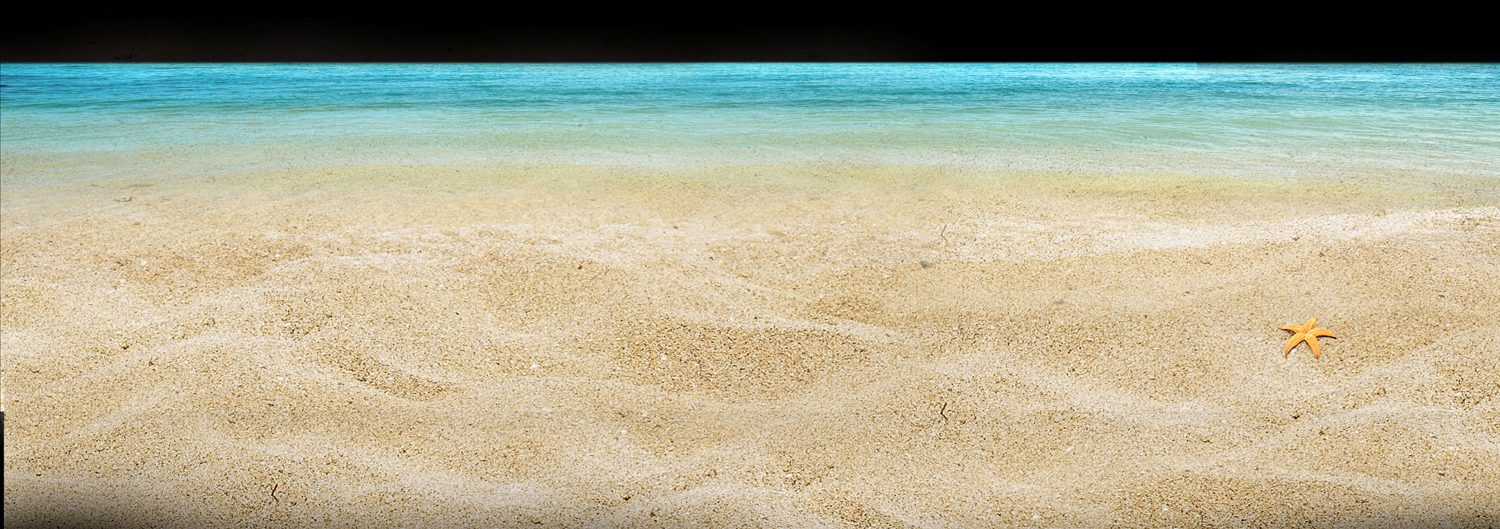 Starfishon Sandy Beach Ocean View PNG