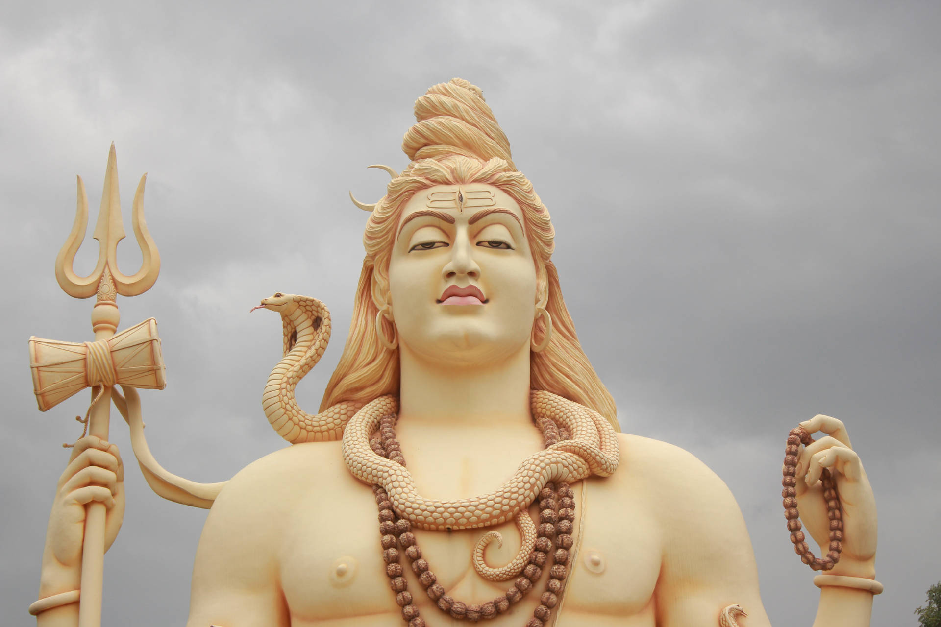 Staring Up At Lord Shiva 8k