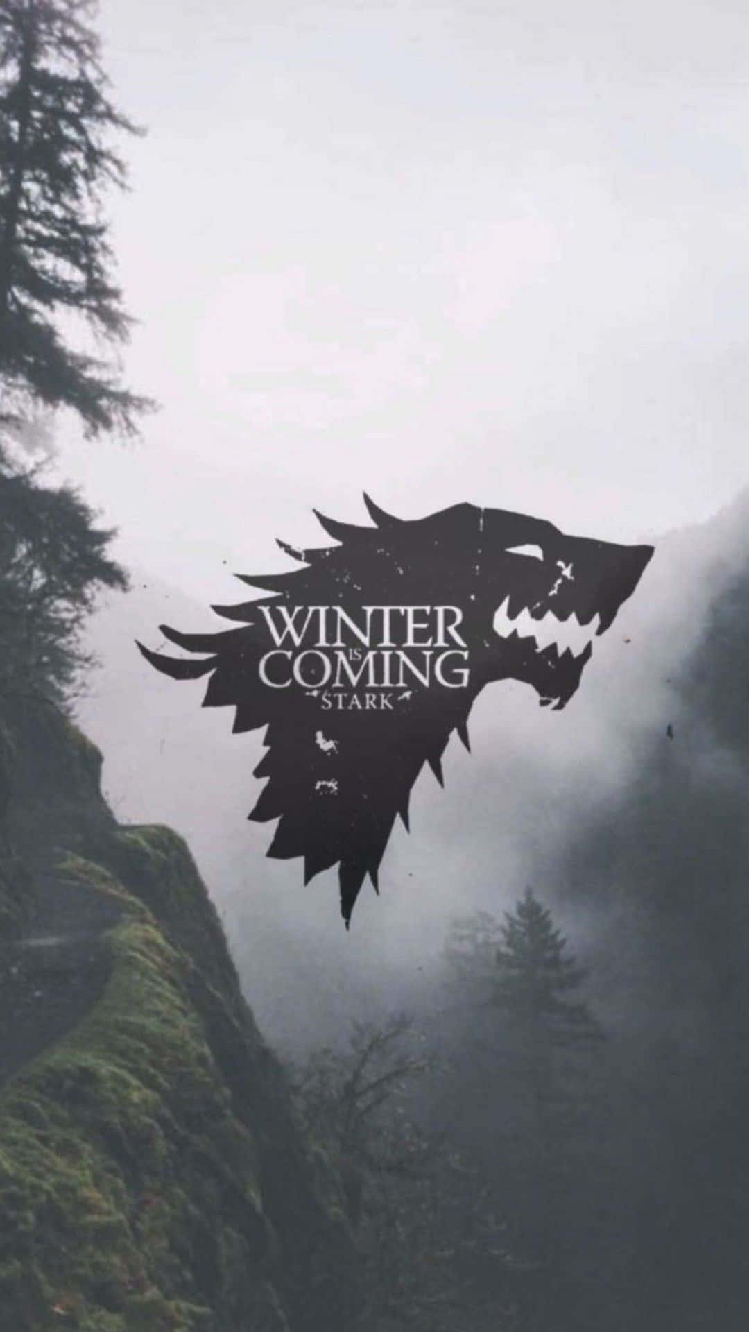 Stark Logo Misty Forest Wallpaper