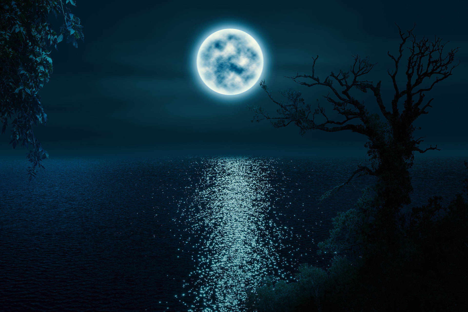 Nochede Luna Sin Estrellas En El Cielo. Fondo de pantalla