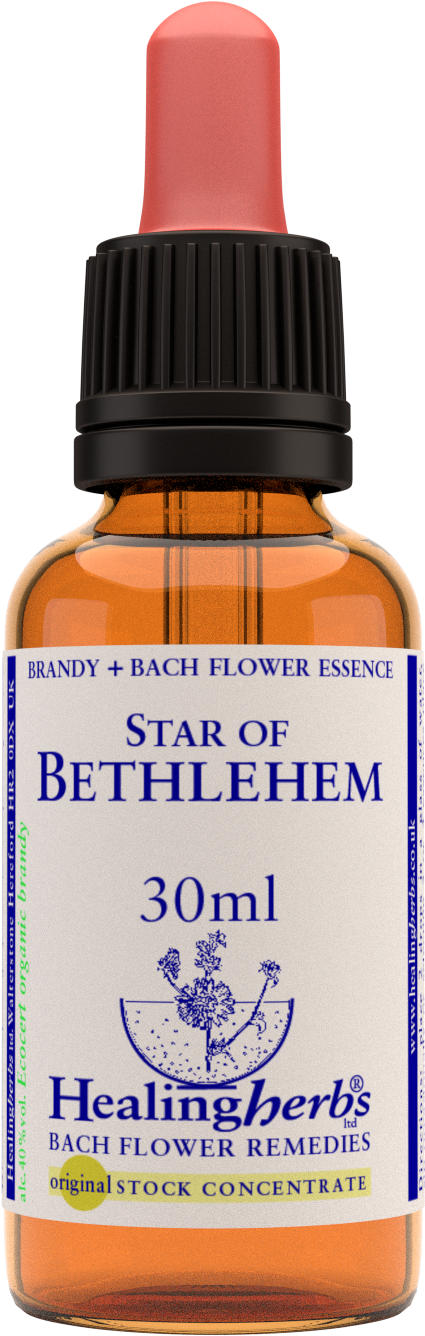 Starof Bethlehem Healing Essence Bottle PNG