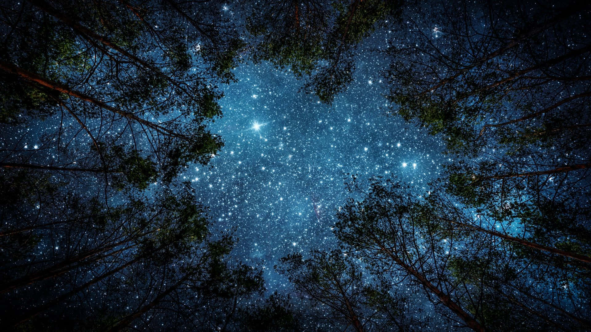 Be inspired by the beauty of The Starry Night