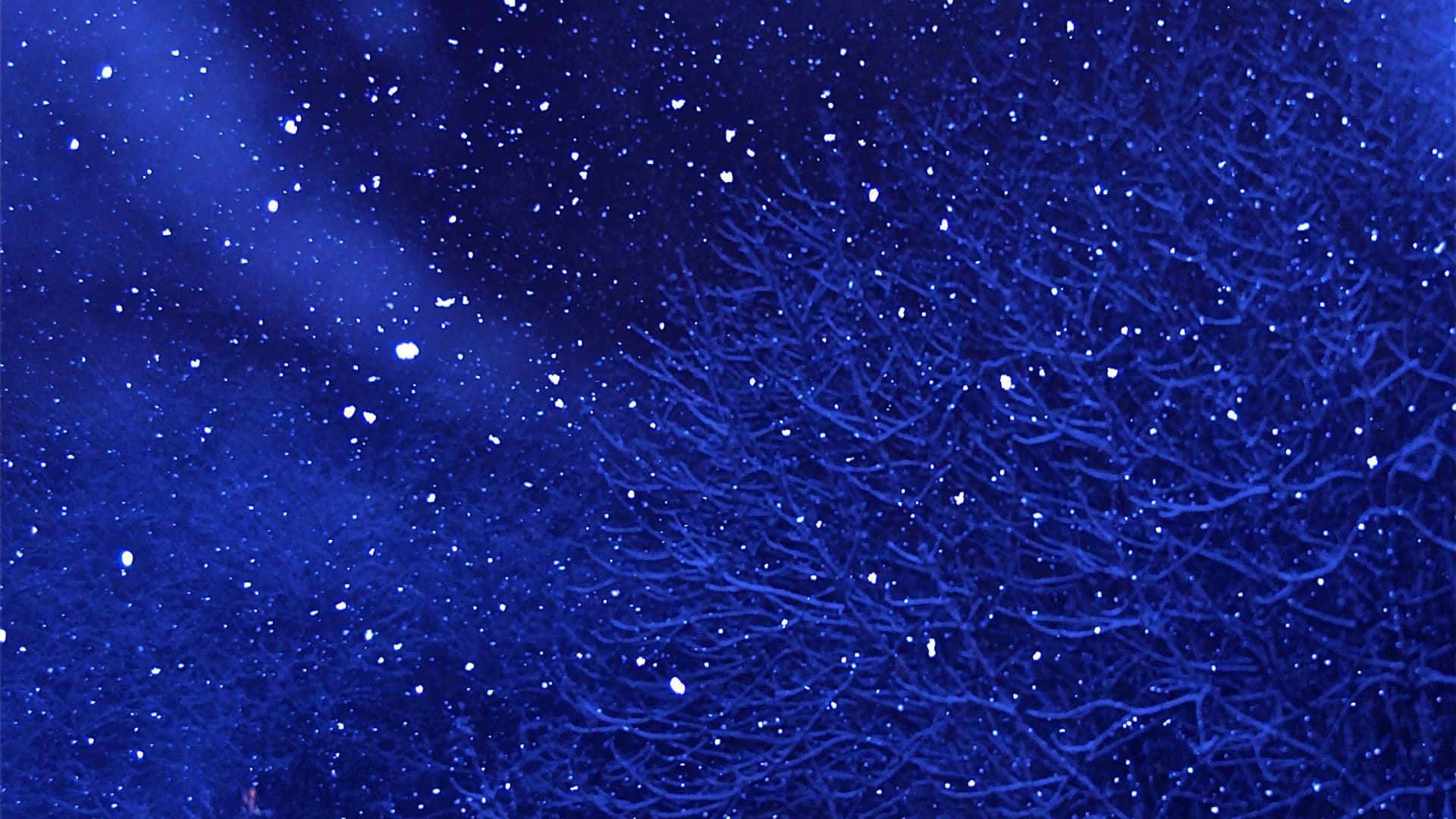 Beundrden Nattehimmel, Vincent Van Goghs Stjerneklare Nat.