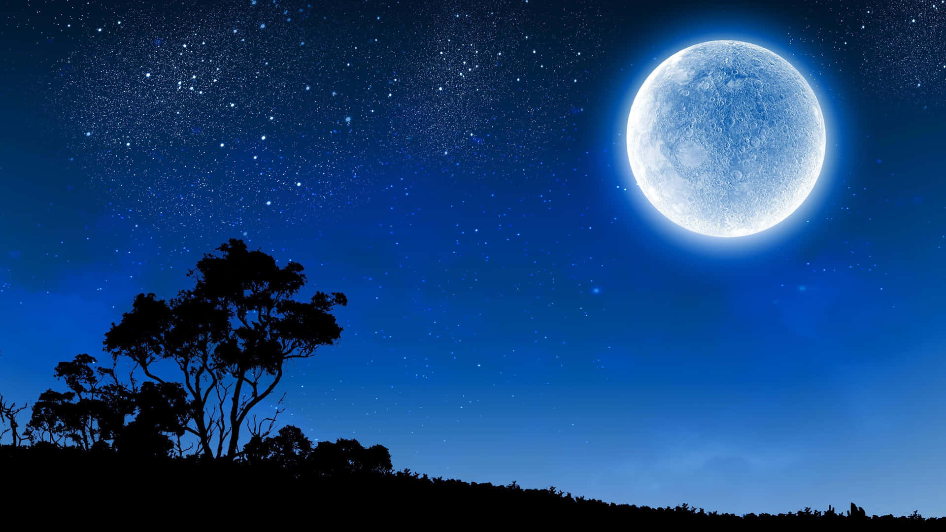 Nuit Étoilée, Lune Bleue Au-dessus Des Arbres Silhouettés Fond d'écran