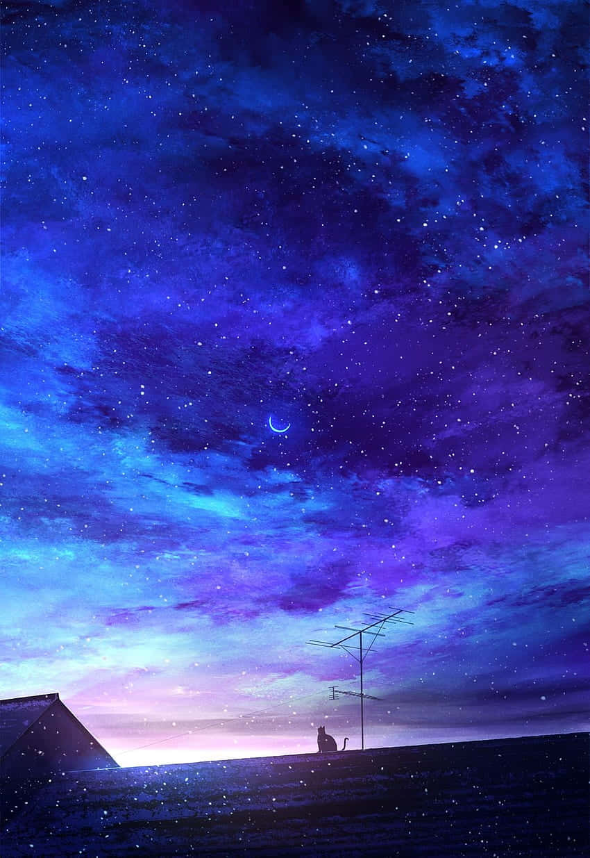 Starry Night Fishing Anime Scene Wallpaper