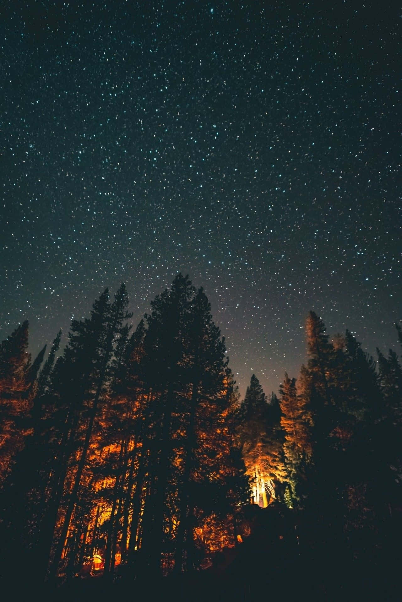 Starry Night Forest Campfire Glow Wallpaper