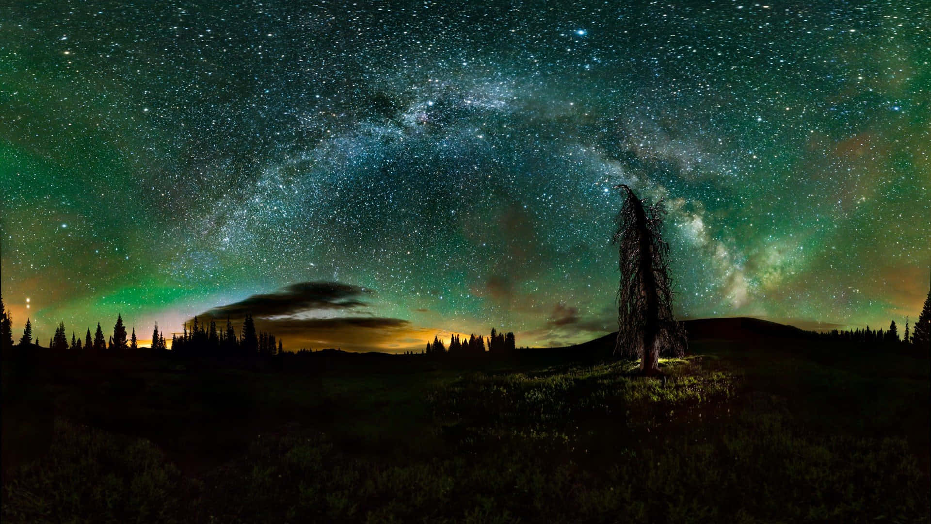 Starry Night Over Silent Field.jpg Wallpaper