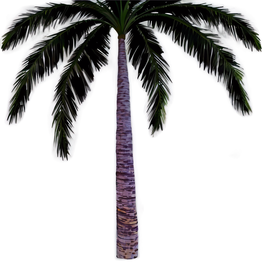 Starry Night Palms Png 06112024 PNG