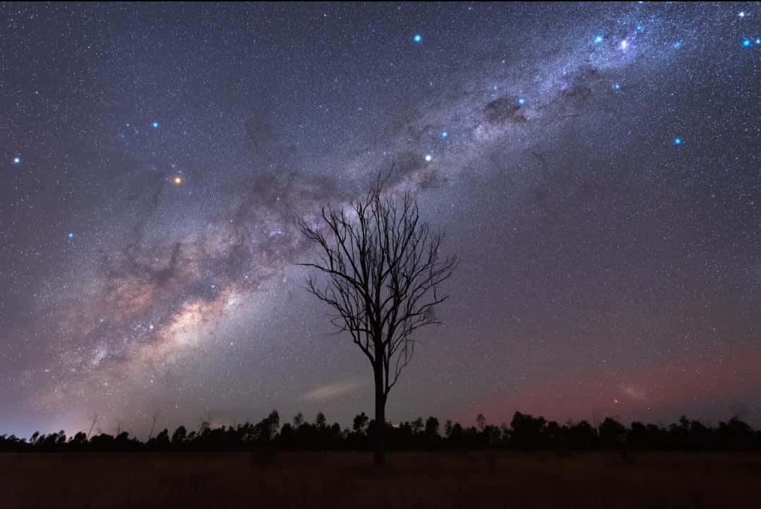 Sterrenachtige Nacht Silhouet Achtergrond