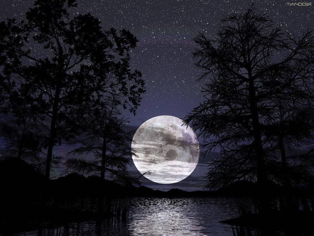 Starry Night Sky And Beautiful Moon Wallpaper