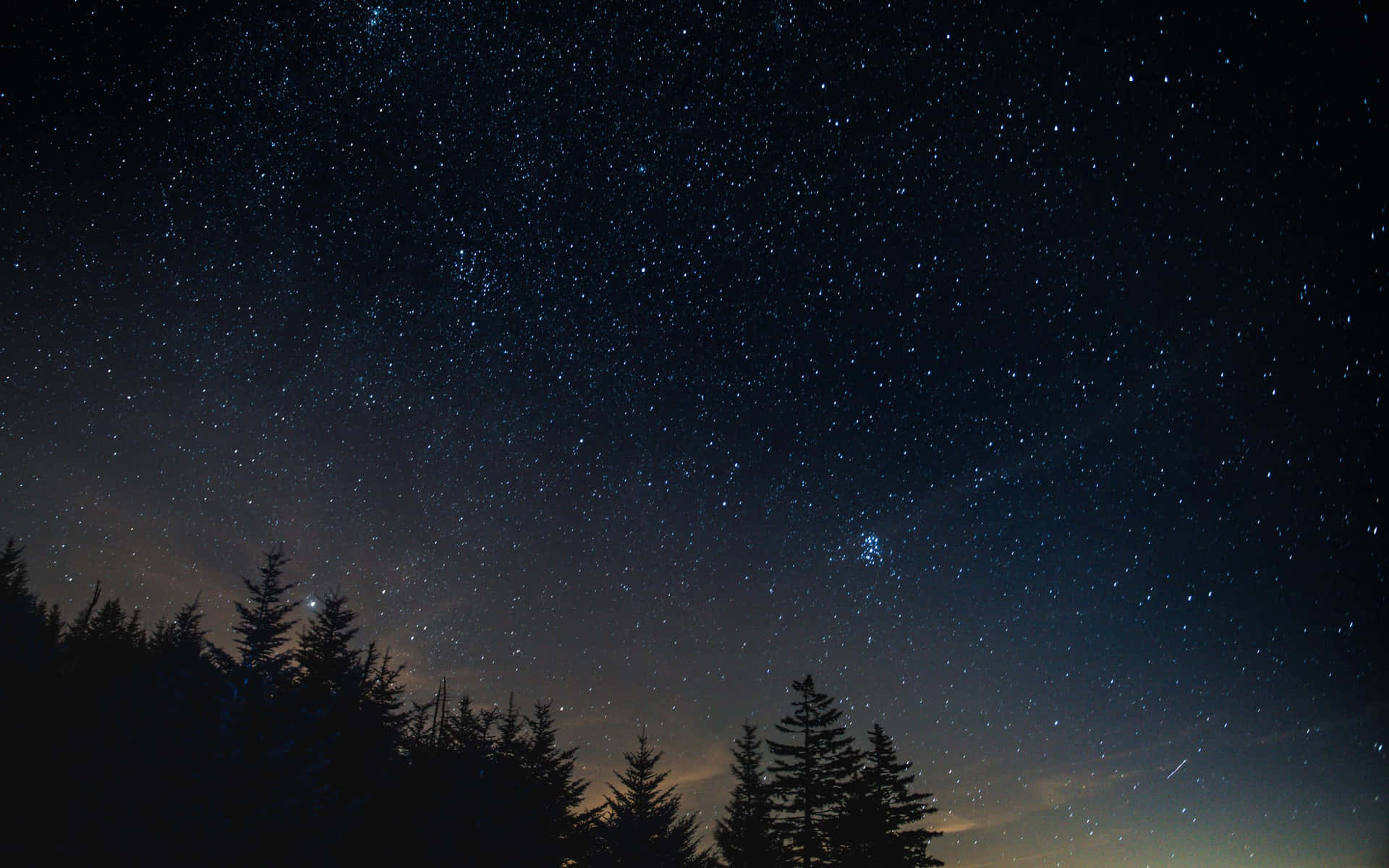 Starry Night Sky Over Forest Wallpaper