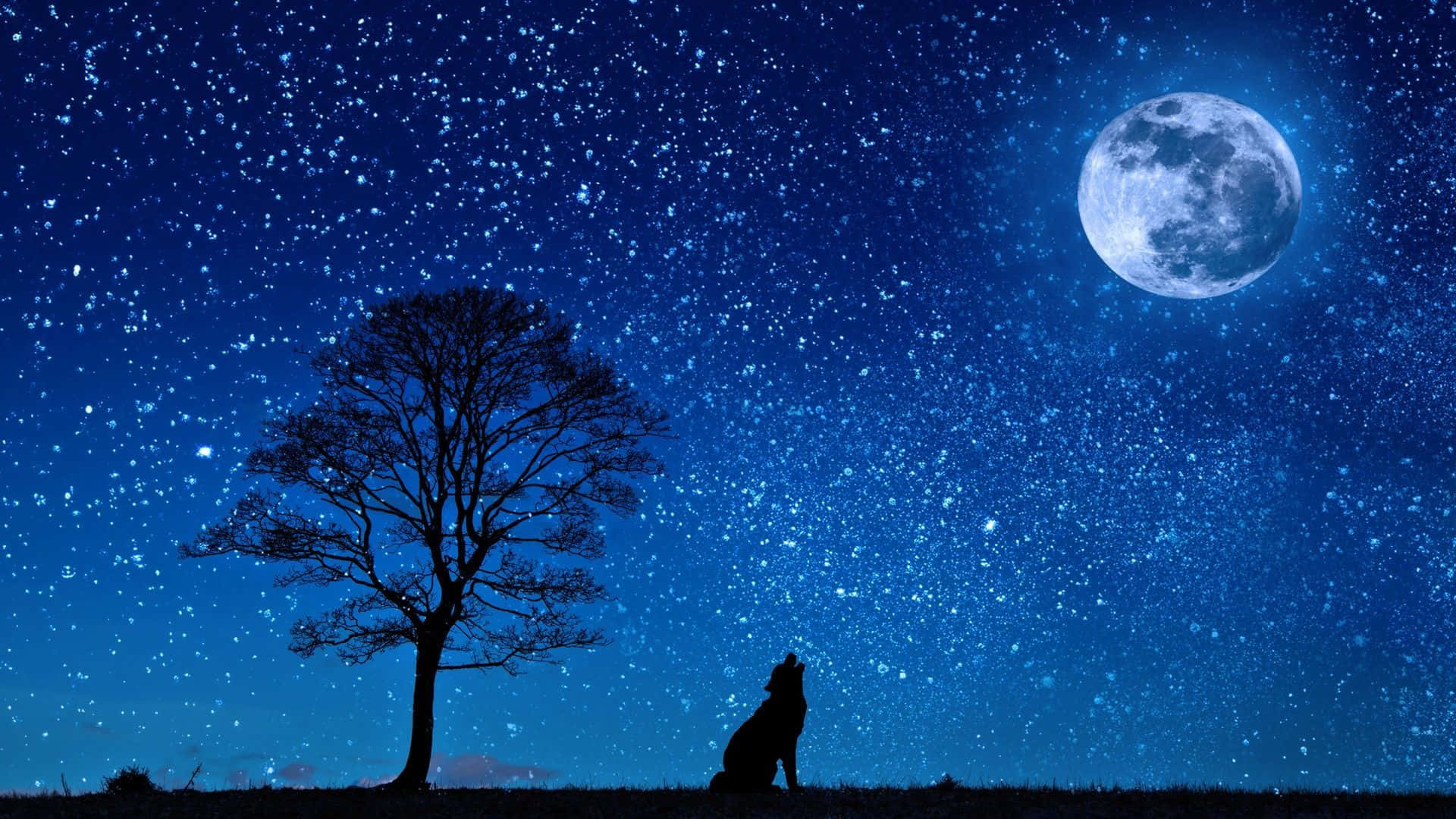 Starry_ Night_with_ Full_ Moon_and_ Wolf_ Silhouette.jpg Wallpaper