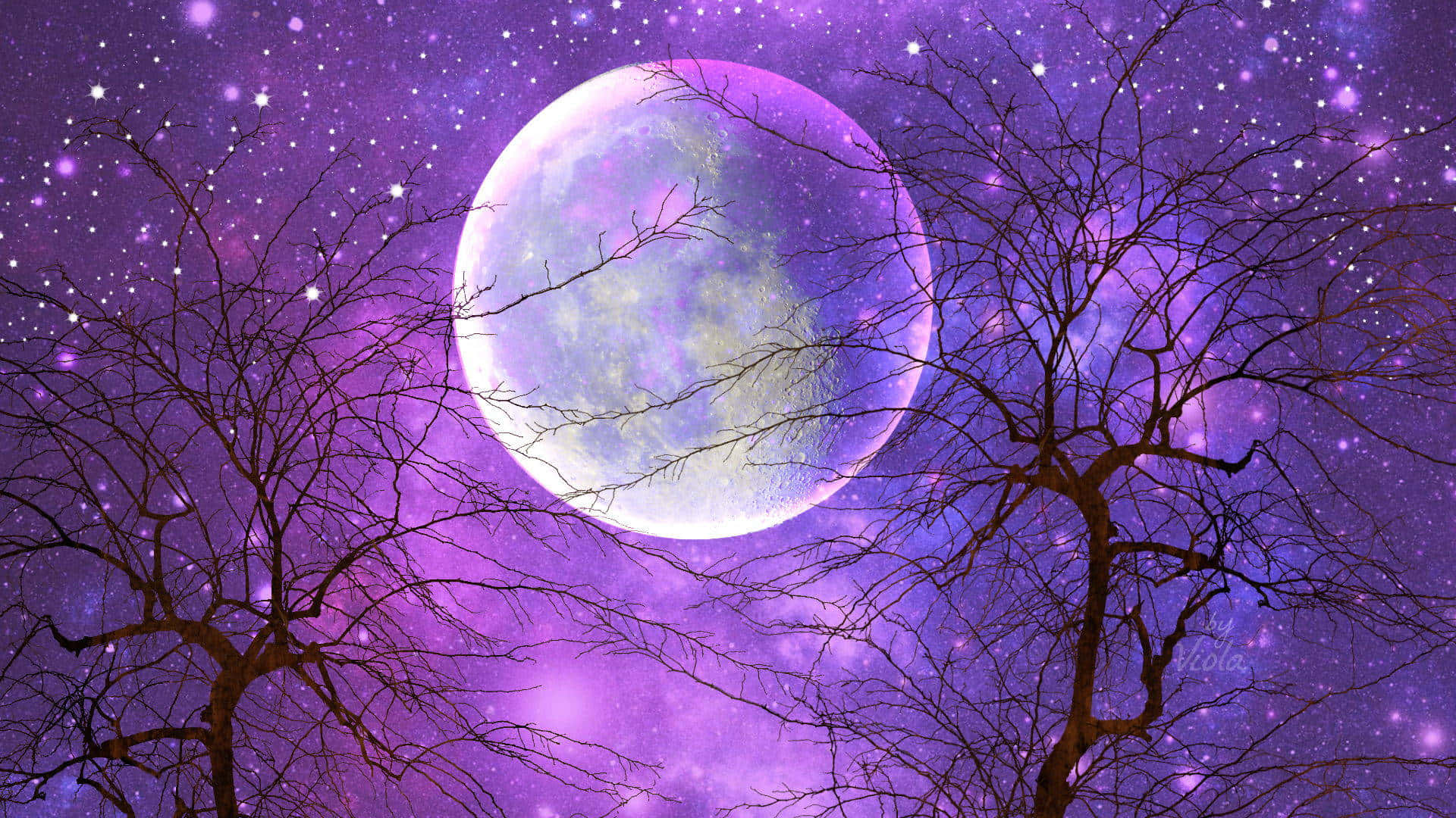 Starry Purple Night Sky Moon Wallpaper