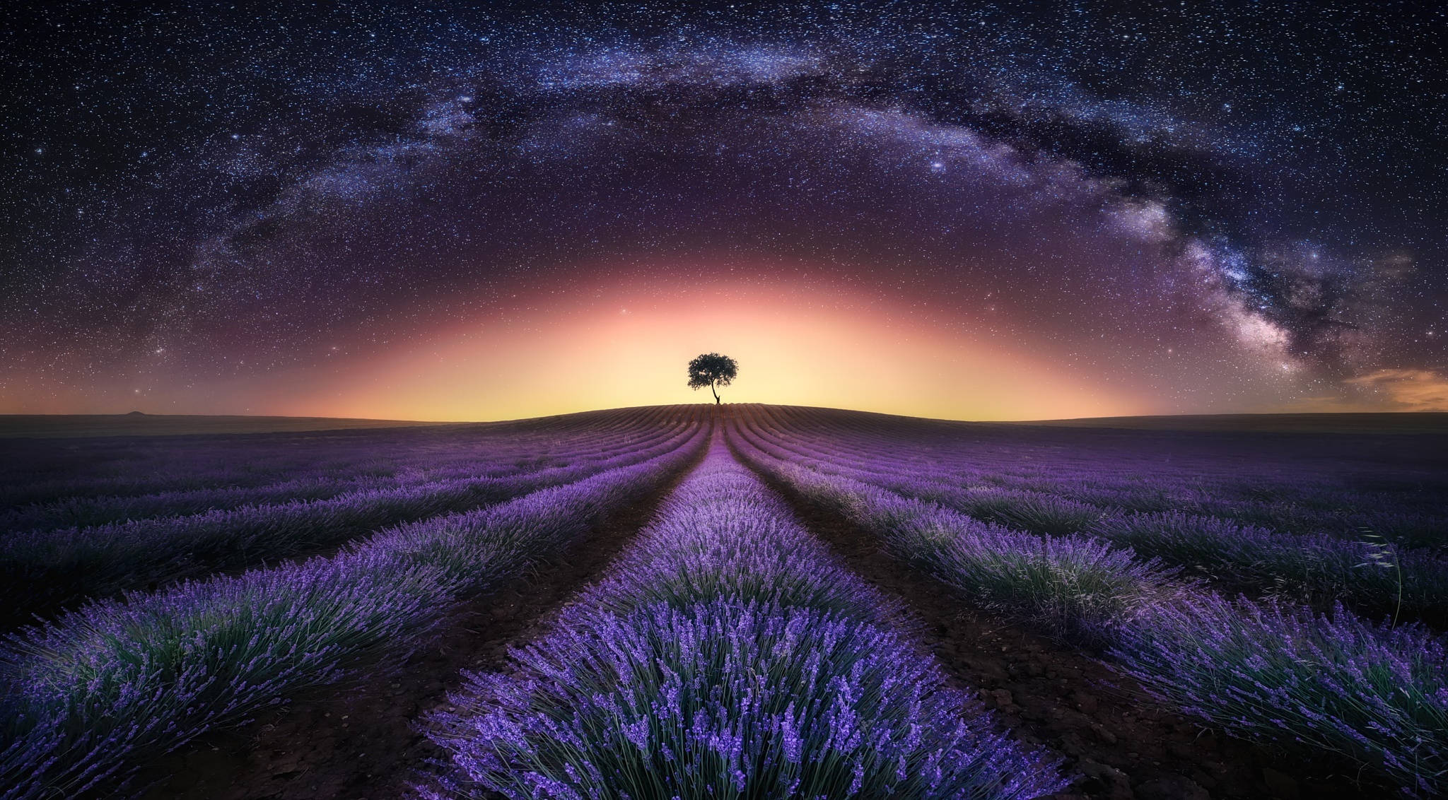 Starry Sky Above Lavender Desktop Wallpaper