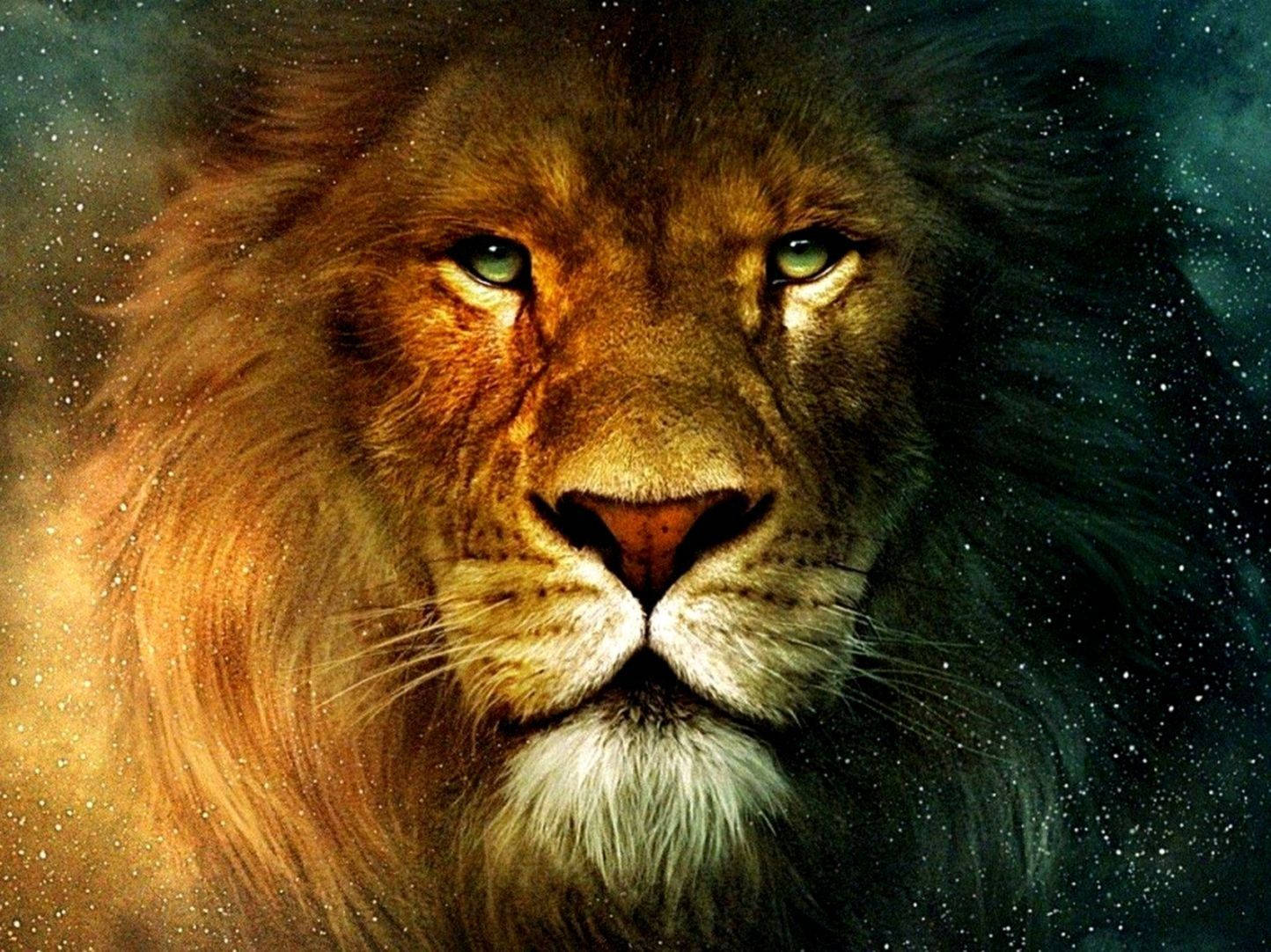 Starry Sky For 3d Lion Background Picture