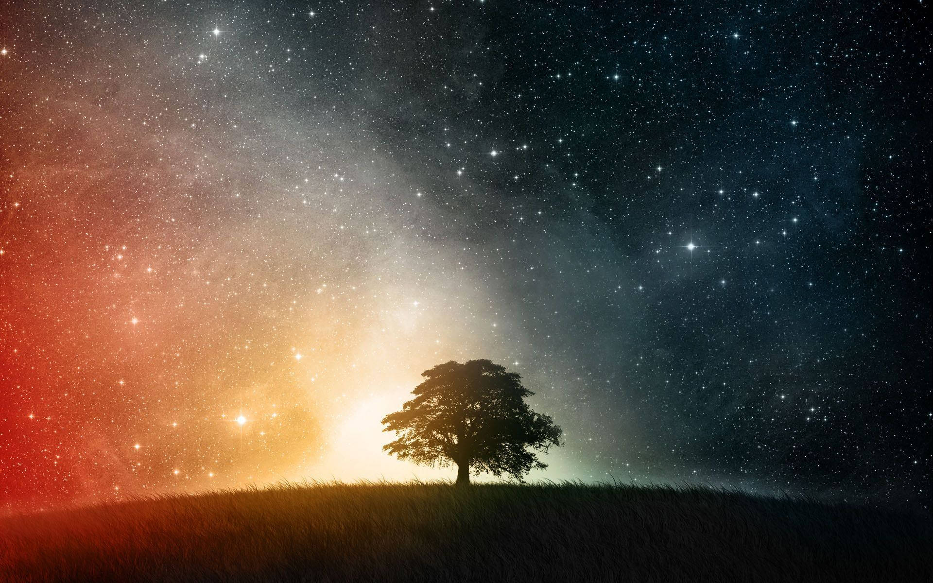 Enjoy the beauty of a star-filled night sky Wallpaper
